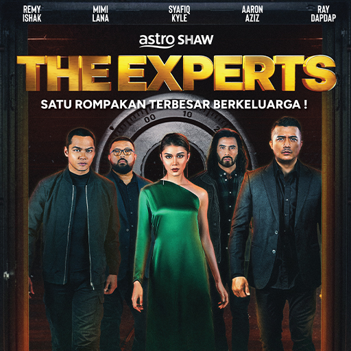 THE EXPERTS